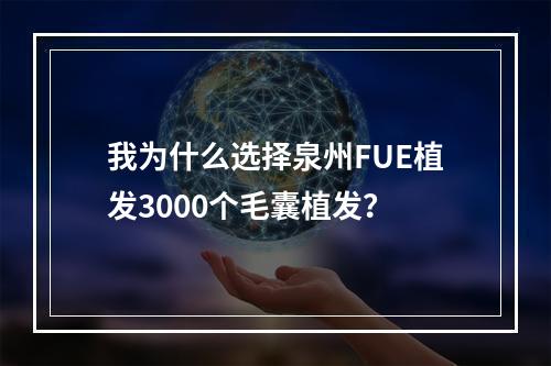 我为什么选择泉州FUE植发3000个毛囊植发？