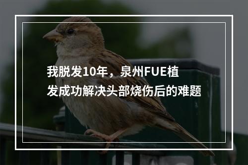 我脱发10年，泉州FUE植发成功解决头部烧伤后的难题