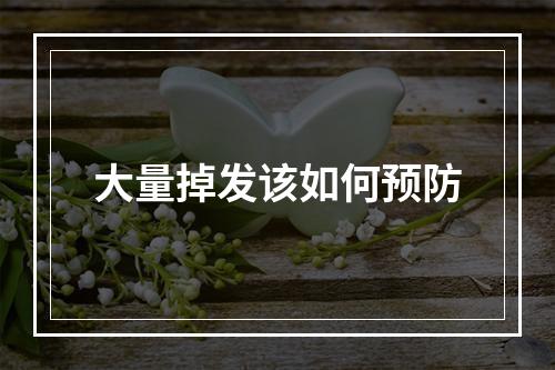 大量掉发该如何预防