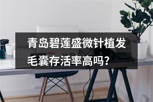 青岛碧莲盛微针植发毛囊存活率高吗？