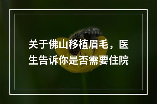 关于佛山移植眉毛，医生告诉你是否需要住院