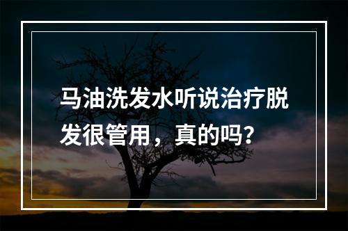 马油洗发水听说治疗脱发很管用，真的吗？