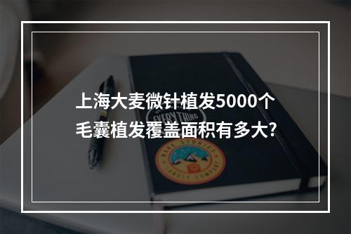 上海大麦微针植发5000个毛囊植发覆盖面积有多大?