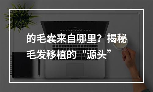 的毛囊来自哪里？揭秘毛发移植的“源头”