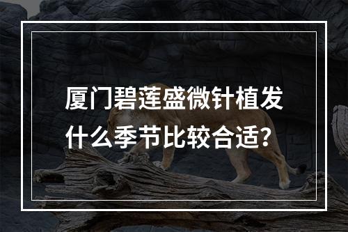 厦门碧莲盛微针植发什么季节比较合适？