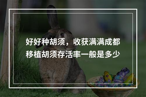 好好种胡须，收获满满成都移植胡须存活率一般是多少