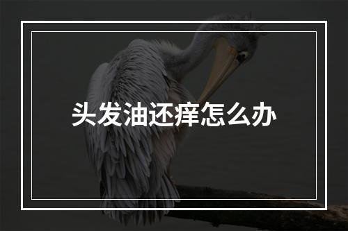 头发油还痒怎么办