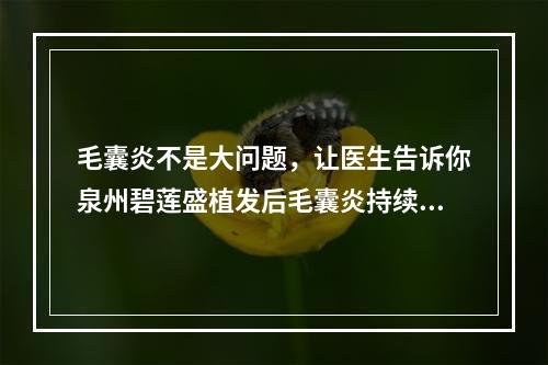 毛囊炎不是大问题，让医生告诉你泉州碧莲盛植发后毛囊炎持续多久