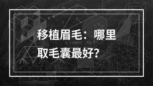 移植眉毛：哪里取毛囊最好？