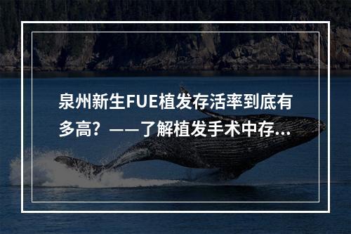 泉州新生FUE植发存活率到底有多高？——了解植发手术中存活率的关键因素