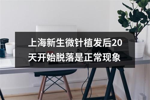 上海新生微针植发后20天开始脱落是正常现象