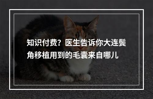 知识付费？医生告诉你大连鬓角移植用到的毛囊来自哪儿