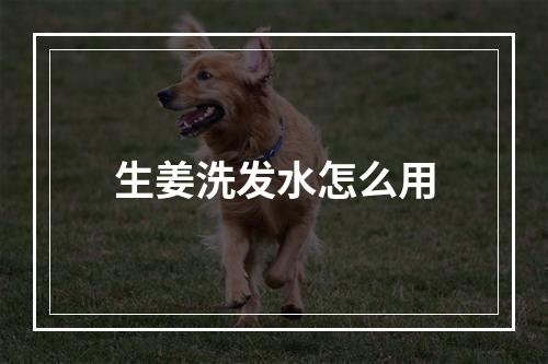 生姜洗发水怎么用