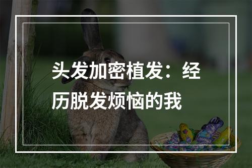 头发加密植发：经历脱发烦恼的我