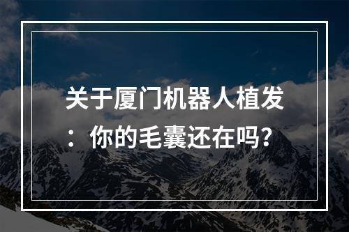 关于厦门机器人植发：你的毛囊还在吗？