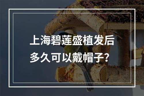 上海碧莲盛植发后多久可以戴帽子？