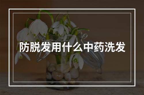 防脱发用什么中药洗发