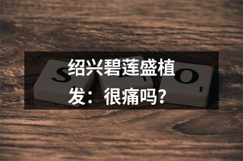 绍兴碧莲盛植发：很痛吗？