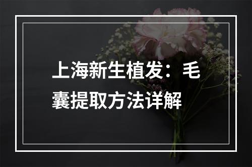 上海新生植发：毛囊提取方法详解