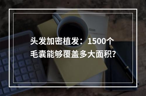 头发加密植发：1500个毛囊能够覆盖多大面积？