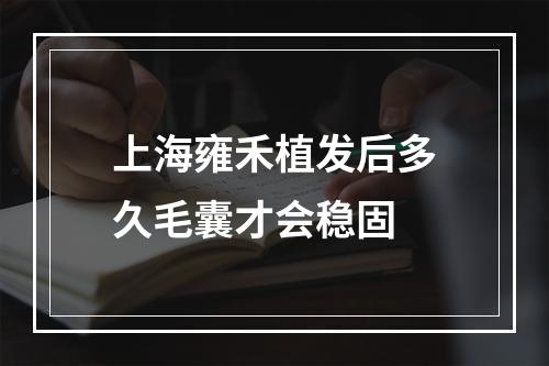 上海雍禾植发后多久毛囊才会稳固