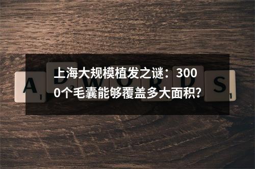 上海大规模植发之谜：3000个毛囊能够覆盖多大面积？