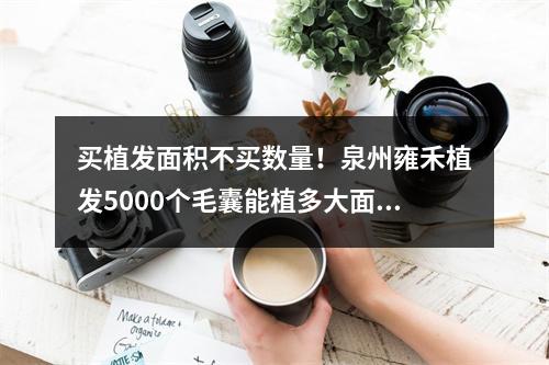 买植发面积不买数量！泉州雍禾植发5000个毛囊能植多大面积？