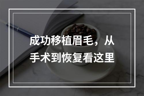 成功移植眉毛，从手术到恢复看这里