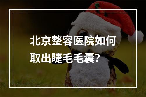 北京整容医院如何取出睫毛毛囊？