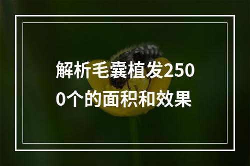 解析毛囊植发2500个的面积和效果