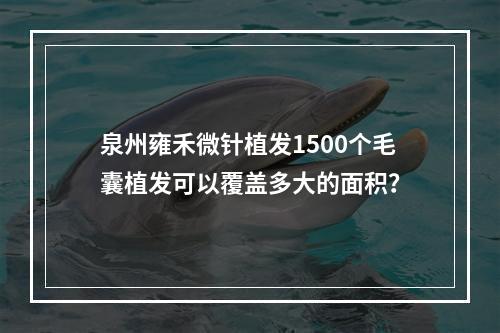 泉州雍禾微针植发1500个毛囊植发可以覆盖多大的面积？