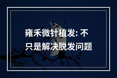 雍禾微针植发: 不只是解决脱发问题