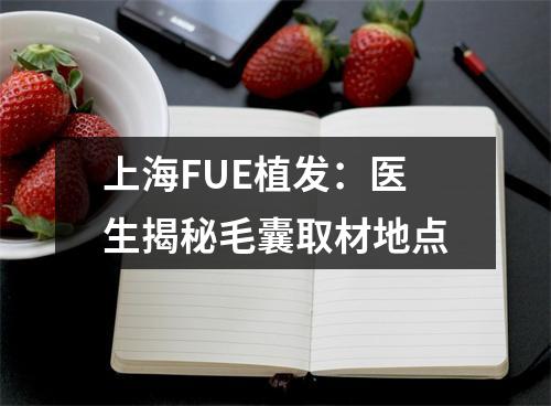 上海FUE植发：医生揭秘毛囊取材地点