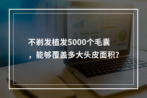 不剃发植发5000个毛囊，能够覆盖多大头皮面积？