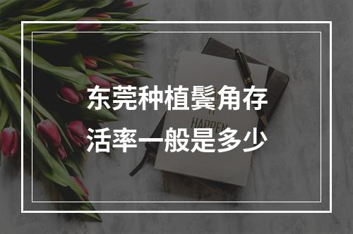 东莞种植鬓角存活率一般是多少