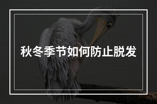 秋冬季节如何防止脱发