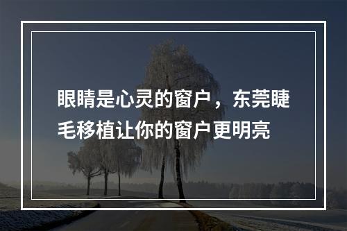 眼睛是心灵的窗户，东莞睫毛移植让你的窗户更明亮