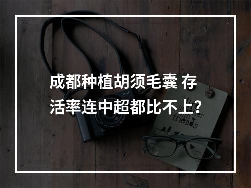 成都种植胡须毛囊 存活率连中超都比不上？