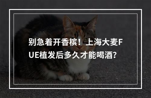 别急着开香槟！上海大麦FUE植发后多久才能喝酒？