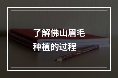 了解佛山眉毛种植的过程