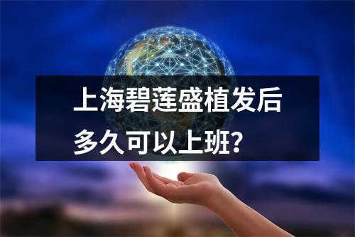 上海碧莲盛植发后多久可以上班？