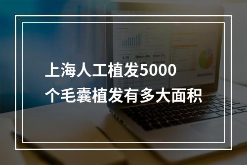 上海人工植发5000个毛囊植发有多大面积