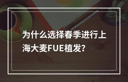 为什么选择春季进行上海大麦FUE植发？