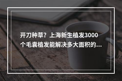 开刀种草？上海新生植发3000个毛囊植发能解决多大面积的脱发问题？