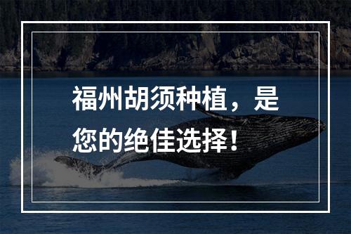 福州胡须种植，是您的绝佳选择！