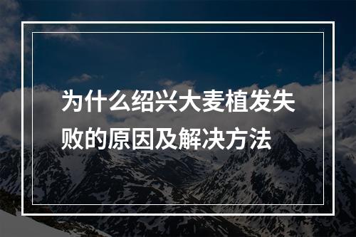 为什么绍兴大麦植发失败的原因及解决方法