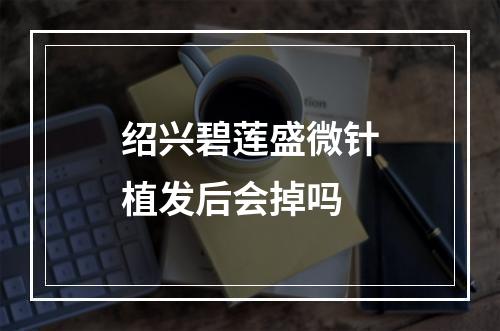 绍兴碧莲盛微针植发后会掉吗