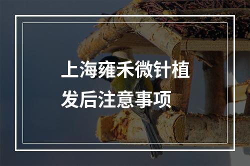 上海雍禾微针植发后注意事项