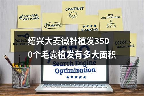 绍兴大麦微针植发3500个毛囊植发有多大面积