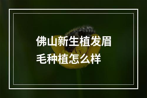 佛山新生植发眉毛种植怎么样